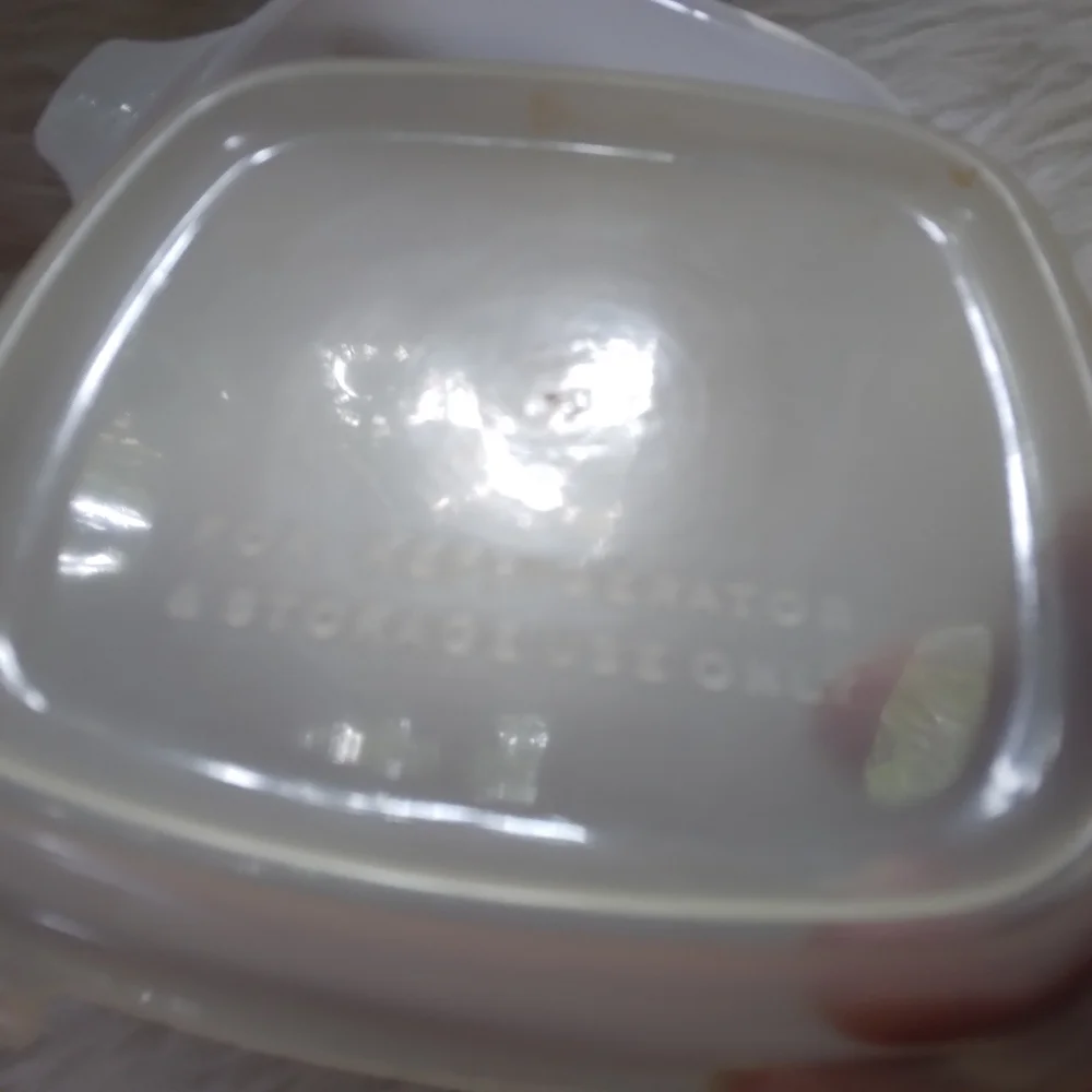 CORNINGWARE Spice Of Life 2 3/4 Cup Petite Casserole W/ Refrigerator Lid P-43-B